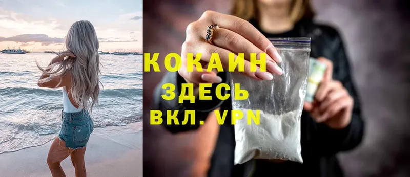 ссылка на мегу вход  Курск  Cocaine 99% 